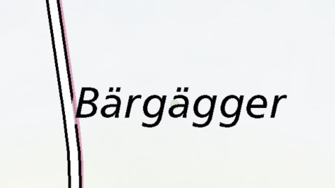 Bärgägger