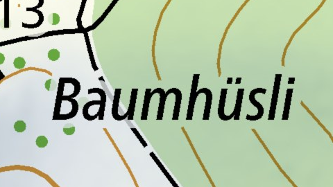 Baumhüsli