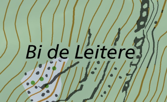 Bi de Leitere