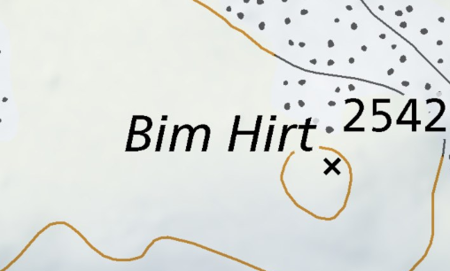 Bim Hirt
