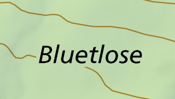 Bluetlose