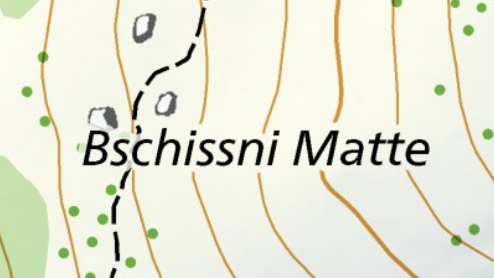 Bschissni Matte