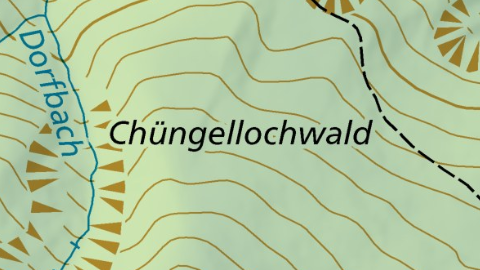 Chüngellochwald