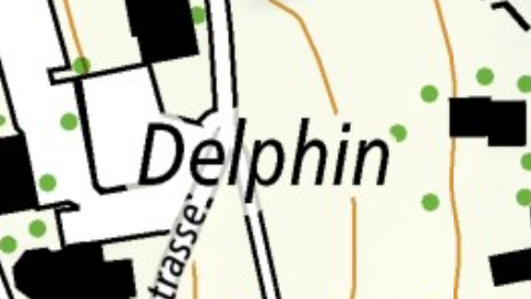 Delphin