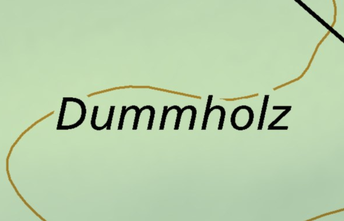 Dummholz