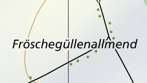 Fröschgüllenallmend