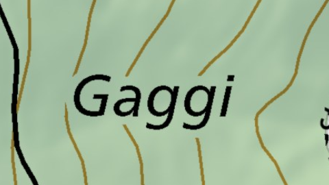 Gaggi