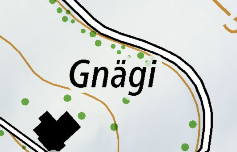 Gnägi