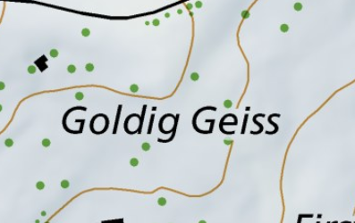 Goldig Geiss