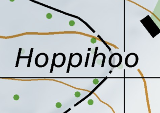 Hoppihoo