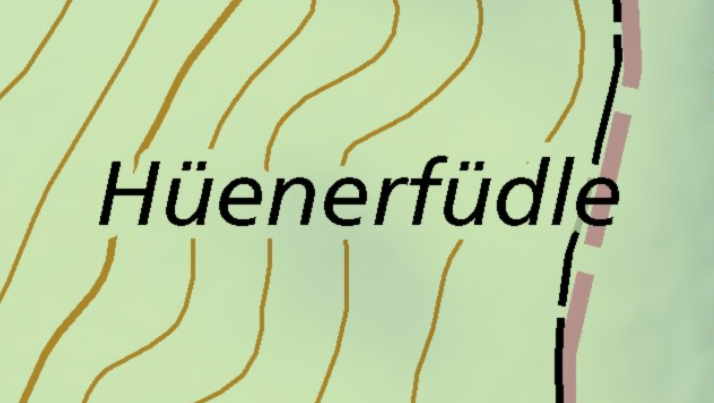 Hüenerfüdle