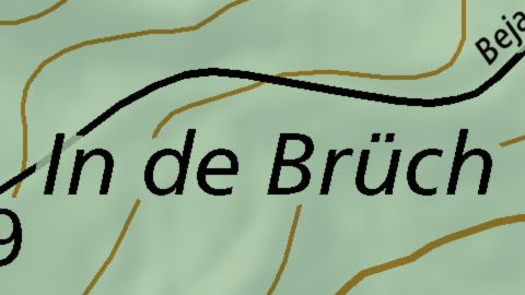 in de Brüch