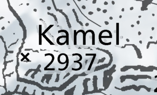 Kamel