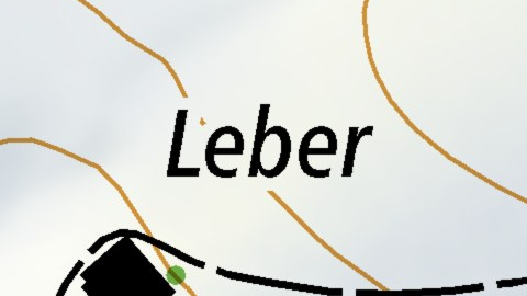 Leber