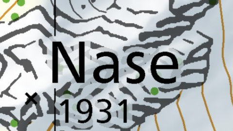 Nase