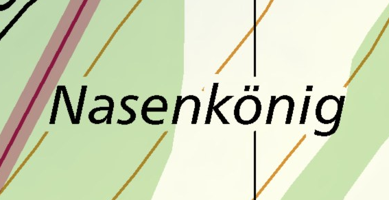 Nasenkönig