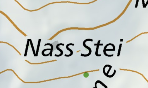 Nass Stei