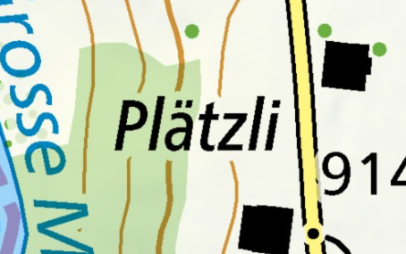 Plätzli