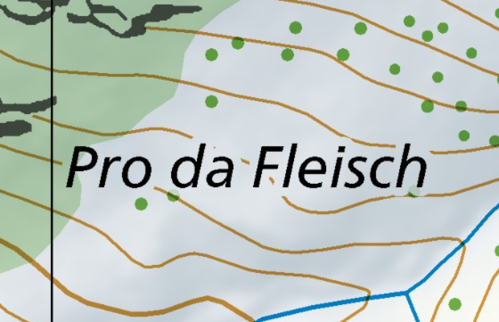 Pro da Fleisch