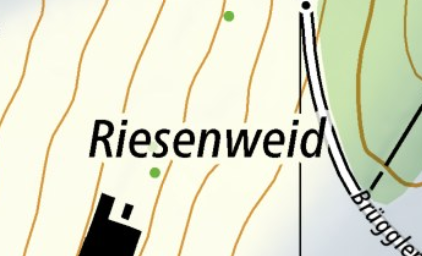 Riesenweid