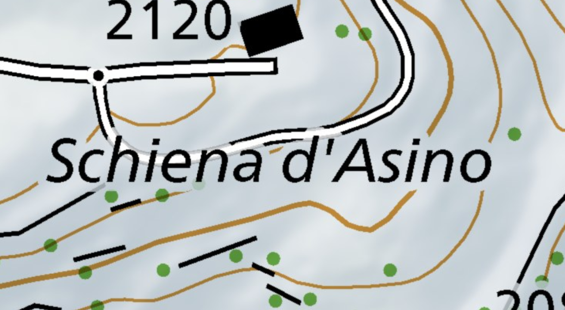 Schiena d'Asino