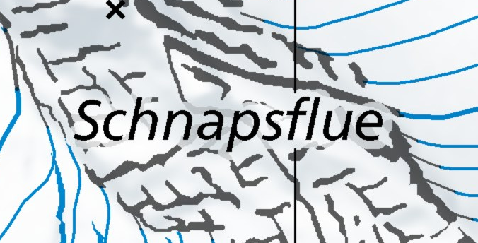 Schnapsflue