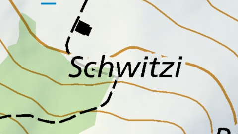 Schwitzi