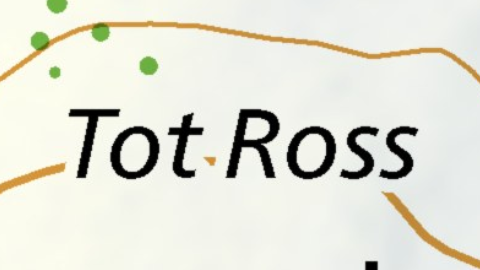 Tot Ross