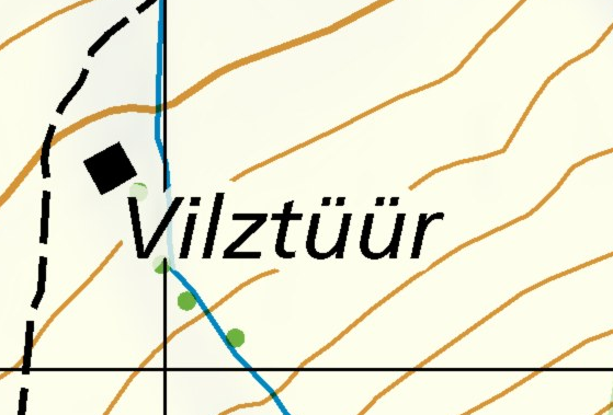 Vilztüür