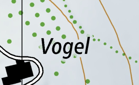 Vogel