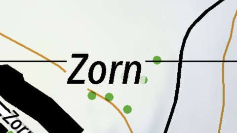 Zorn